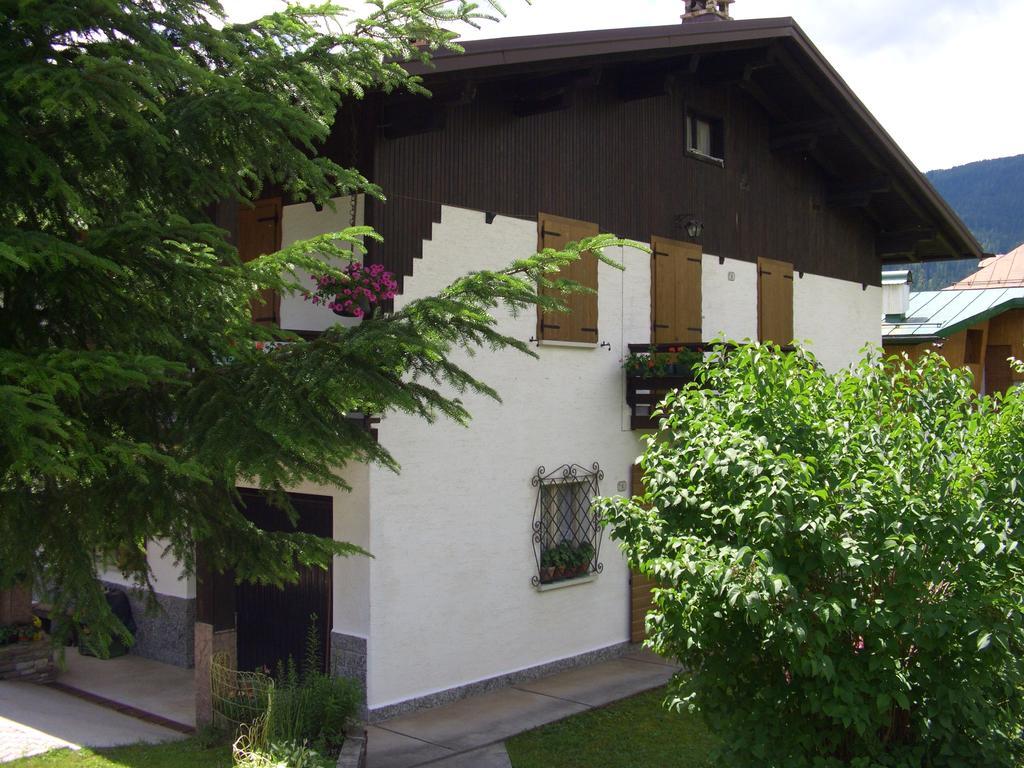 Apartmán Mountain Chalet Cime D'Auta Dolomiti Falcade Exteriér fotografie
