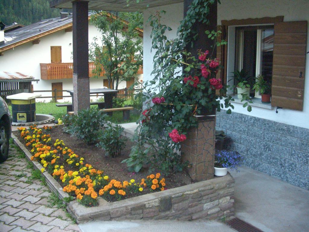 Apartmán Mountain Chalet Cime D'Auta Dolomiti Falcade Exteriér fotografie
